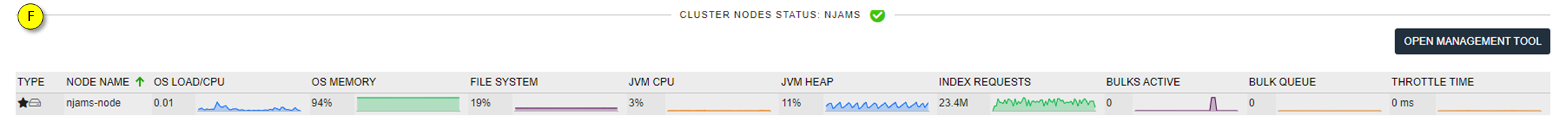 Cluster nodes status